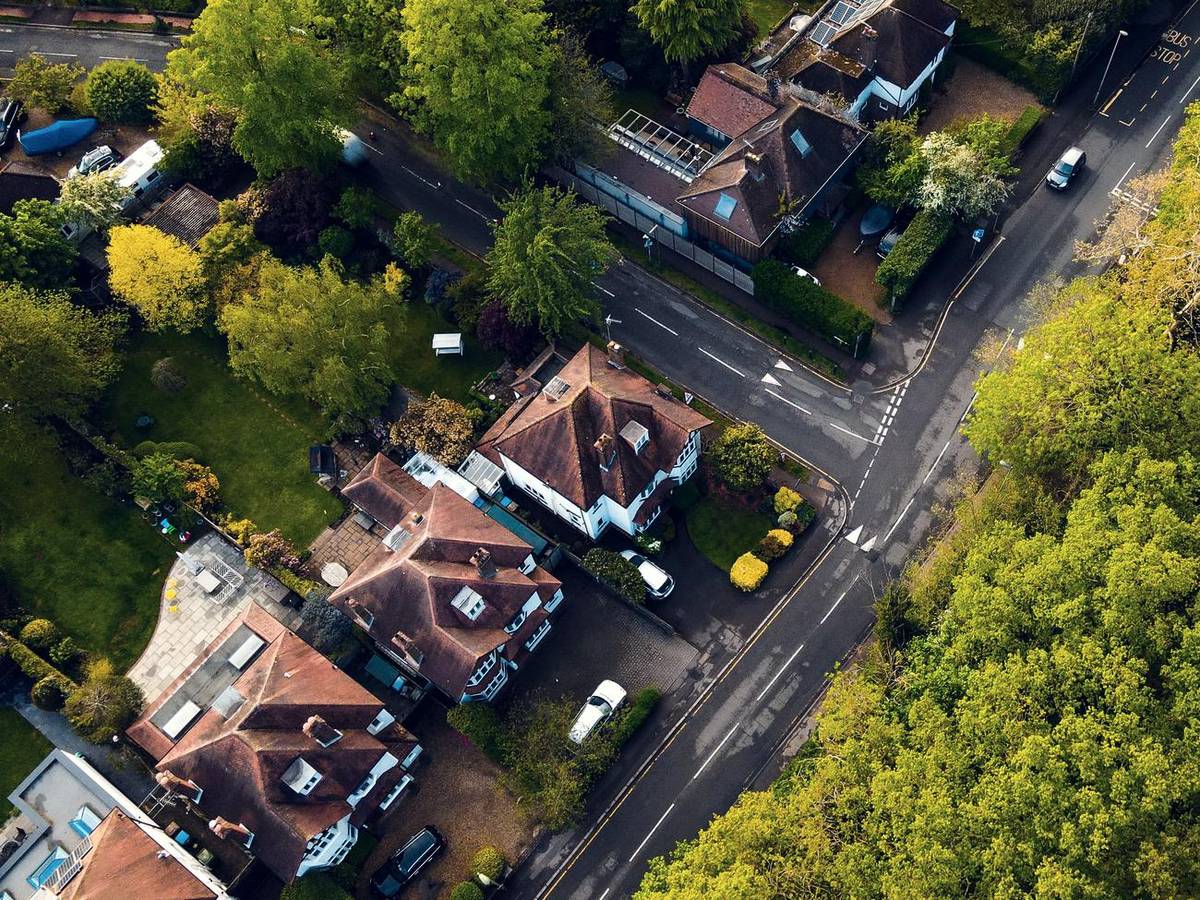Aerial view of detached houses and gardens on a tree-lined residential street